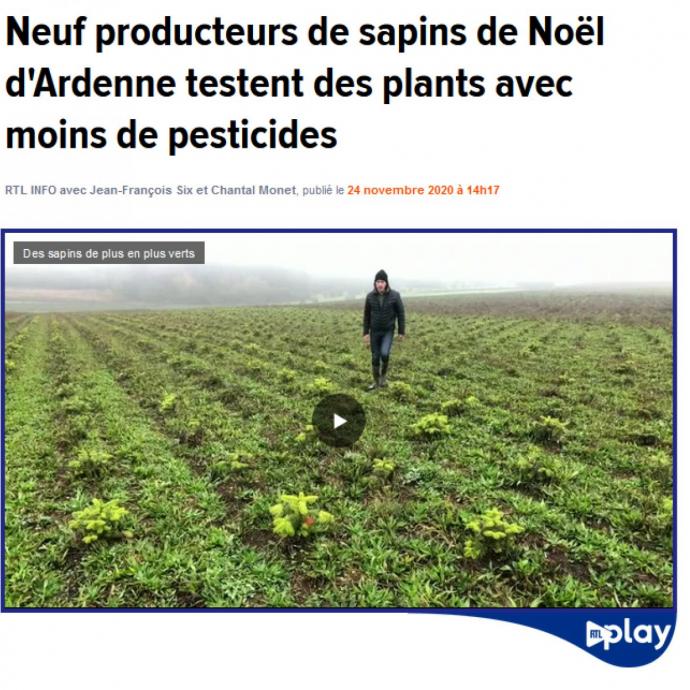 Neuf producteurs de sapins de Noël d'Ardenne testent des plants avec moins de pesticides - Revue de presse GAL Ardenne Meridionale