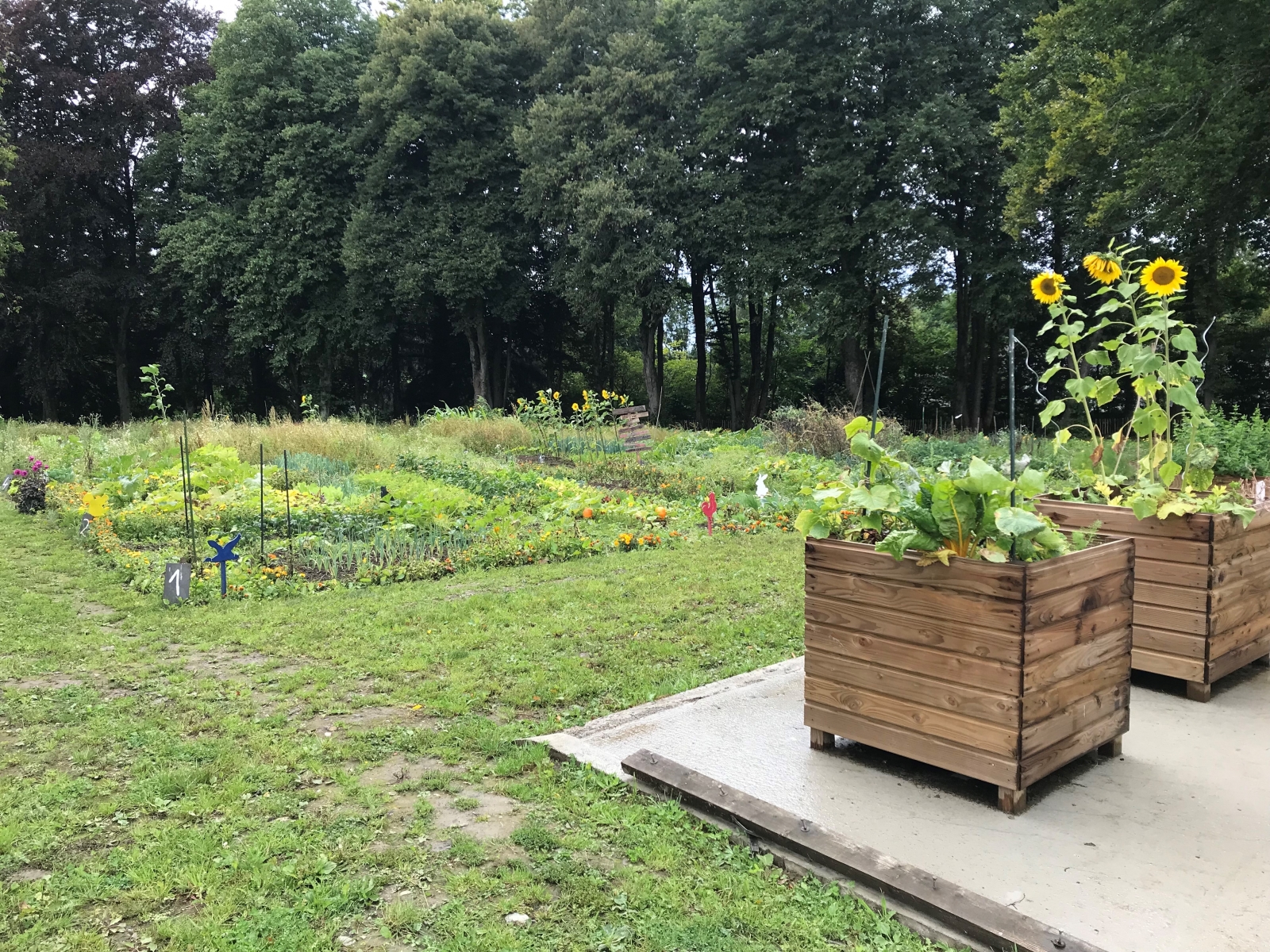 Jardins Collectifs Citoyen An Action Parc Naturel De L Ardenne