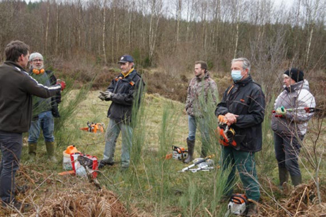 Chantiers participatifs de gestion de la nature - Parc naturel de l'Ardenne Méridionale
