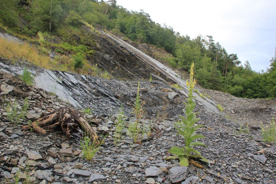 Restaurer le maillage écologique_ ©M. Gillet, PNAM