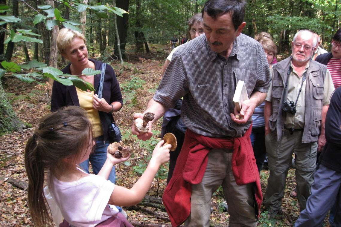 Les guides du territoire