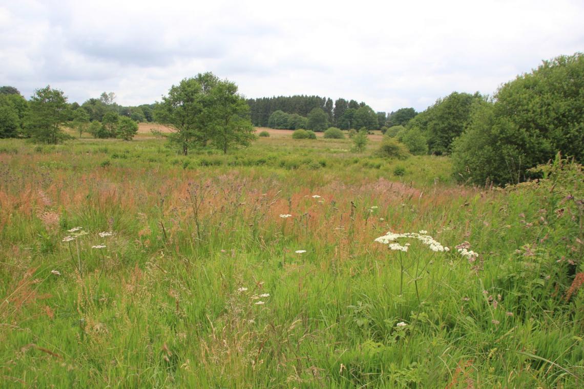 Patrimoine naturel_© M. Gillet, PNAM