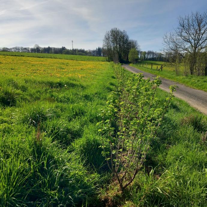 Nature, environnement et micro-aventures du côté de Bertrix - Revue de presse GAL Ardenne Meridionale