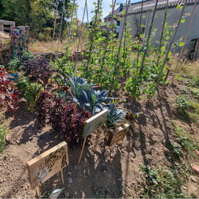 Des jardins thérapeutiques en Ardenne pour favoriser le bien-être et l'inclusion - Revue de presse GAL Ardenne Meridionale