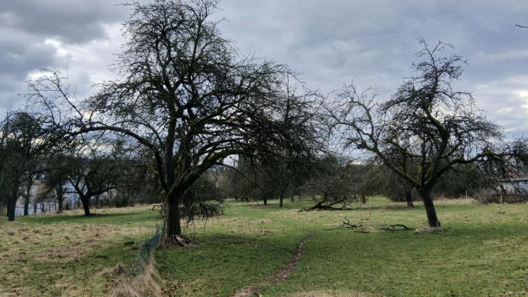  - Parc naturel de l'Ardenne Méridionale