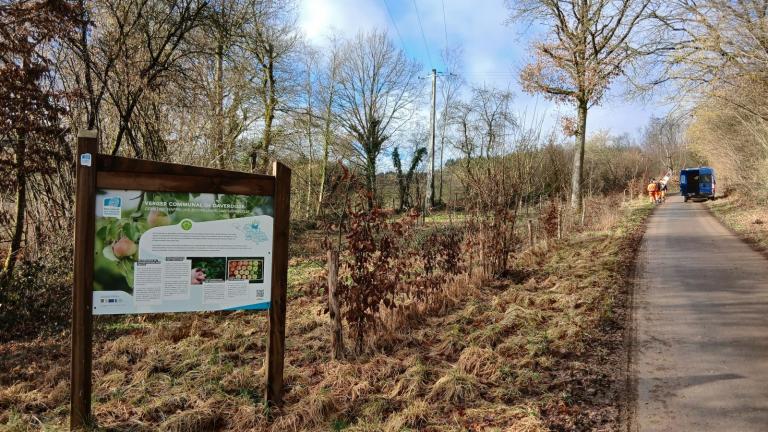  - Parc naturel de l'Ardenne Méridionale