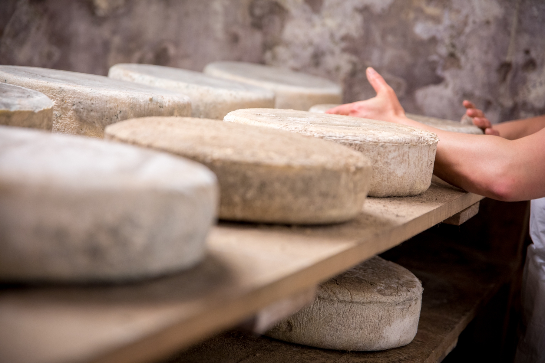 Les Fromageries Du Territoire - Projet Agriculture - Parc Naturel De L ...