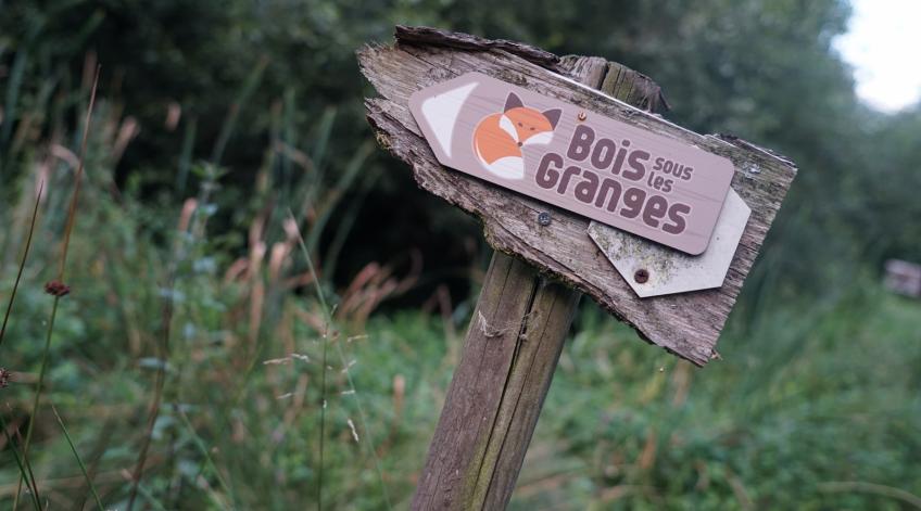 La réserve naturelle Bois sous les Granges - Un espace naturel et pÃ©dagogique Ã  ChairiÃšre (Vresse) - Publications Parc Naturel Ardenne Meridionale