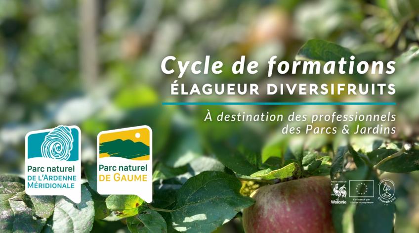 Cycle de formations