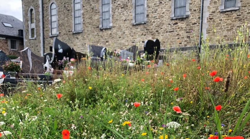 Les cimetières et espaces publics naturels - Vers plus de biodiversitÃ© ! - Publications Parc Naturel Ardenne Meridionale