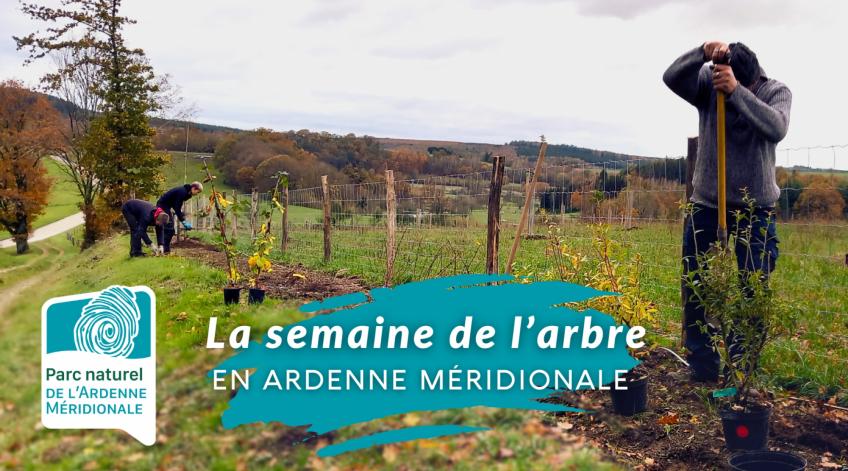 La semaine de l'arbre en Ardenne méridionale