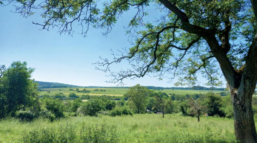 Paysages et changements climatiques - Focus sur l'Ã©volution de nos paysages face aux changements climatiques... - Publications Parc Naturel Ardenne Meridionale